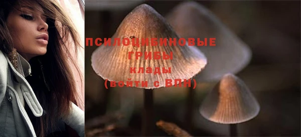 меф Медвежьегорск
