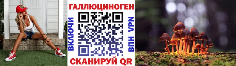 Купить где  Котово  Псилоцибиновые грибы GOLDEN TEACHER 